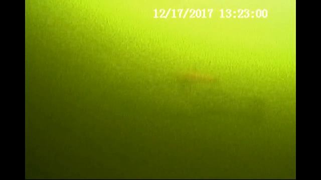 17 12 1017 Клевое место Под моей лункой, сегодня было так смотреть онлайн