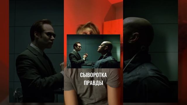 ГДЕ ОТВЕТЫ НА ЕГЭ? #биология #егэ смотреть онлайн
