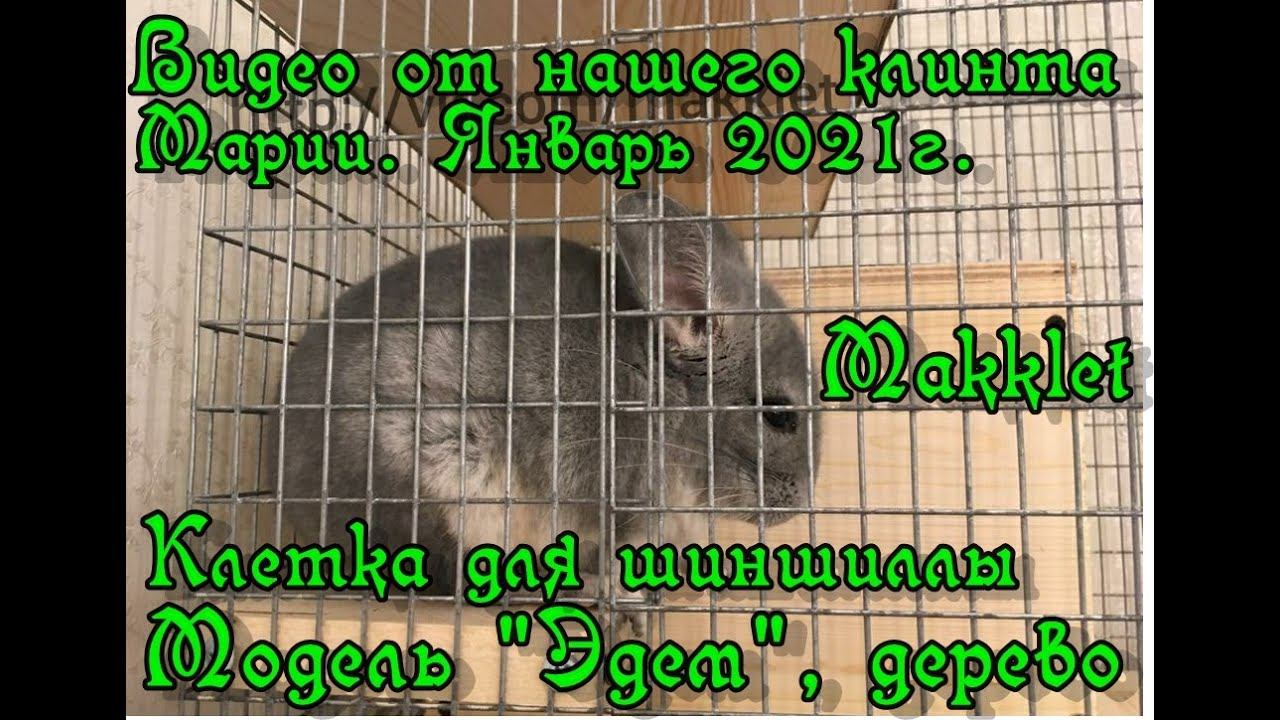 Отзыв от заказчика, клетка "Эдем" для шиншиллы, наполнение дерево, январь 2021г. смотреть онлайн