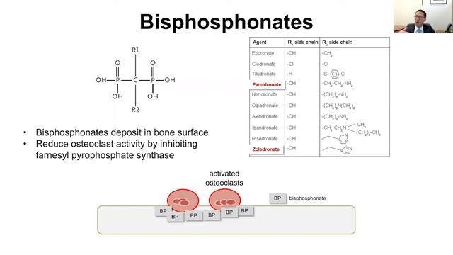 Updates on Managing Bone Disease in Multiple Myeloma смотреть онлайн