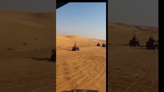 2 ноября 2022 г. смотреть онлайн