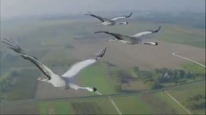 Где то высоко...исп.Сергей Орлов (авторская песня)