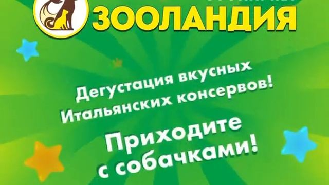 Зооландия теперь и в Санкт- Петербурге600 кв.м зоотоваров🔥 смотреть онлайн