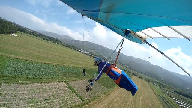 Чуть не села на дерево смотреть онлайн