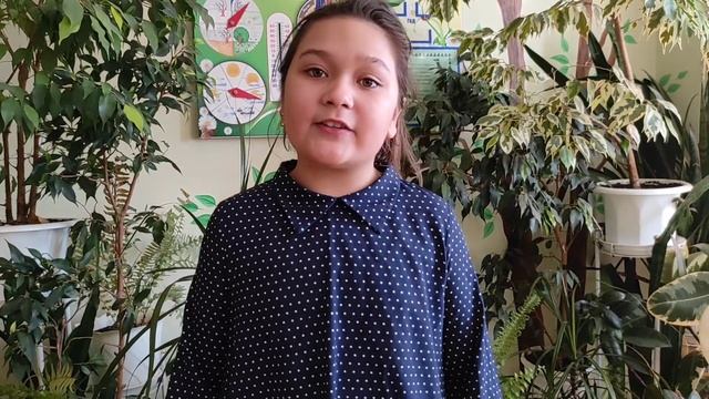 Пилипончик Дарья смотреть онлайн