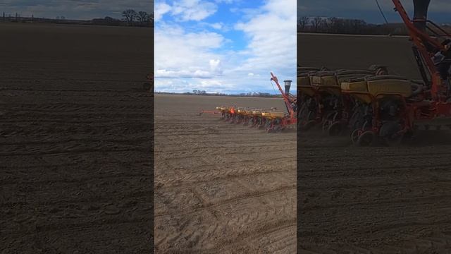 John deere 8270r Vaderstad Tempo F8- napraforgó vetés смотреть онлайн