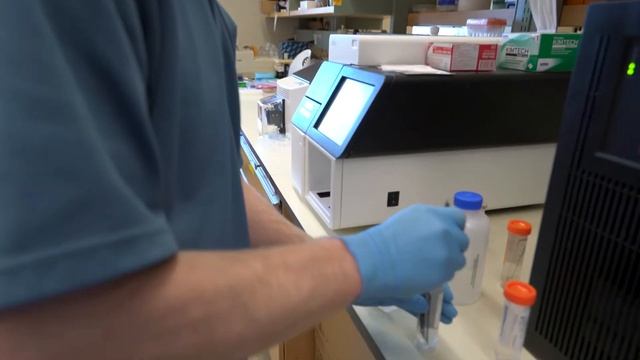 UNH Hubbard Center for Genome Studies смотреть онлайн
