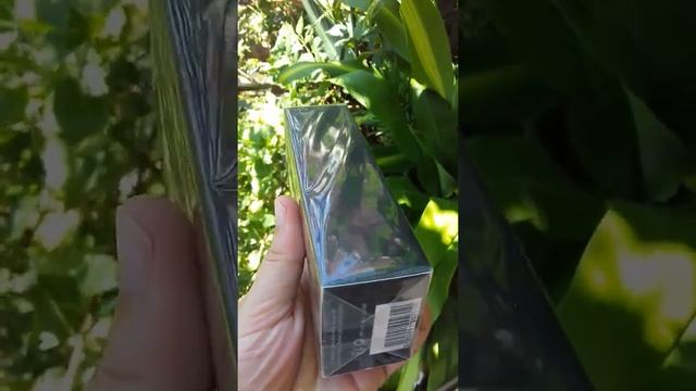 Perfume Silver Scent 100ml смотреть онлайн