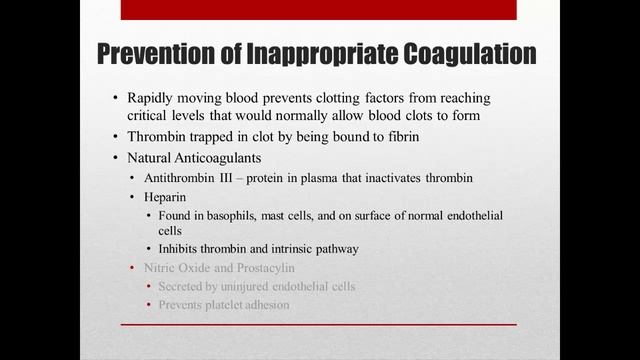 Hemostasis Part 2: Unwanted Clots смотреть онлайн