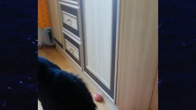 Вода, вода, кругом вода... / There was a lot of water... смотреть онлайн