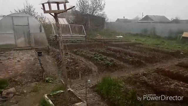 Всего по чуть-чуть#инкубация#бройлера смотреть онлайн