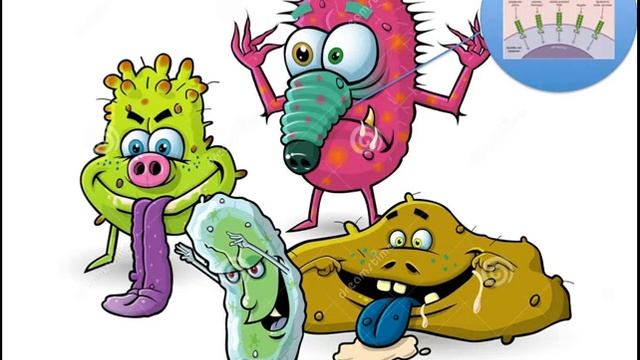 The Magic School Bus: Toll-Like Receptor 5 смотреть онлайн