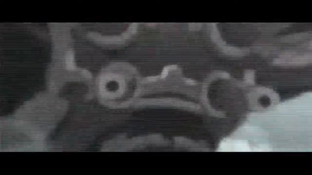 Сяо ты шо crazy ?! смотреть онлайн