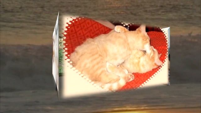 Видео из ваших фото на заказ. 3-D куб из фото с озвучкой смотреть онлайн
