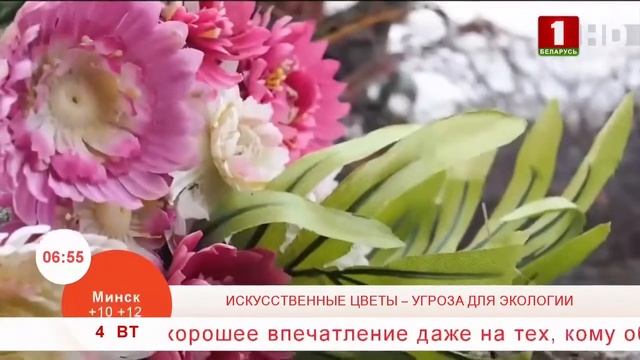 Добрай раніцы, Беларусь Искусственные цветы – угроза для экологии смотреть онлайн