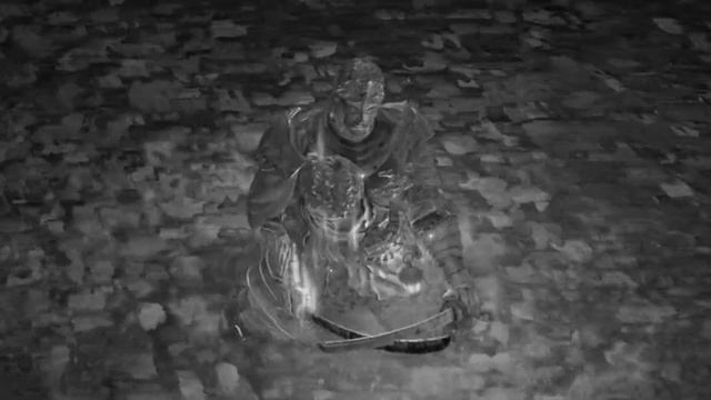 ODIO cómo ELDEN RING trata a sus NPC… смотреть онлайн
