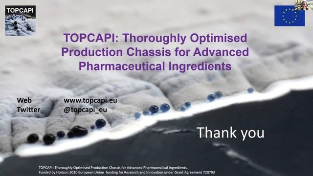 TOPCAPI & CHASSY Microbial Cell Factories Webinar Series (3) 21-04-08 - Validation (Scale-up) смотреть онлайн