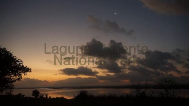 The Birds of Belize DVD - Locations and Credits - Version 9 смотреть онлайн