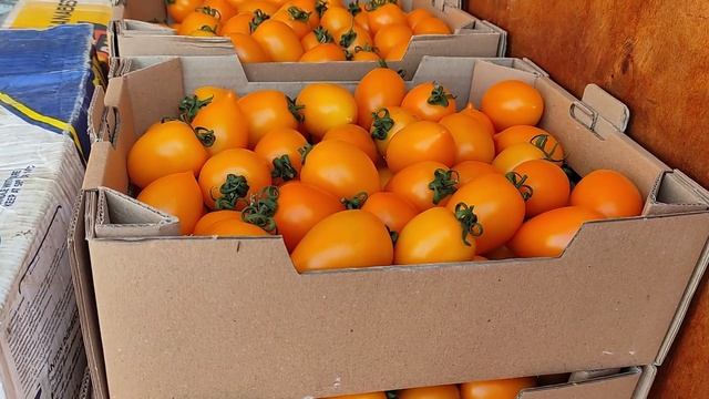 Ціни на ринку Великі Копані.8 червня.8.00.Спаржова фасоль 110 грн. смотреть онлайн