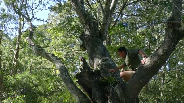 The Biome's of Shamwari Private Game Reserve Part 1: Forest and Albany Thicket смотреть онлайн