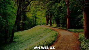 Самый Красивый Нашид | La Yazal al Khayr (لا يزال أل خير) Nasheed 1 hour beautiful nasheed