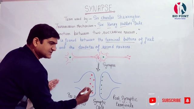 Synapse | Neurotransmitter | Impulse transmission | Control and Coordination | Chapter 7 | Part 7 смотреть онлайн