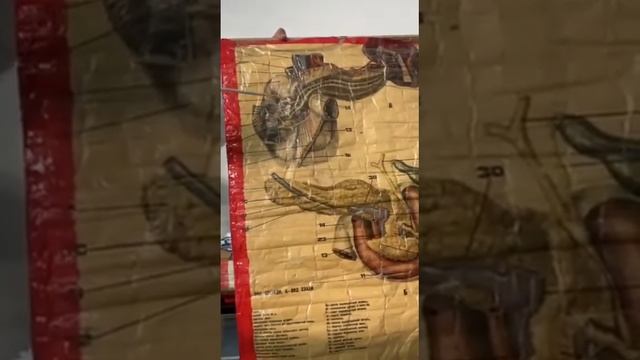 Ұйқы безі смотреть онлайн