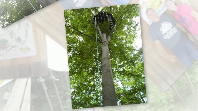 Tree Frog Canopy Tours - Rinehart Insurance Business Partner смотреть онлайн