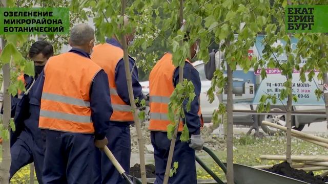 В микрорайоне Ботанический высадят более 300 деревьев и двух тысяч кустарников смотреть онлайн