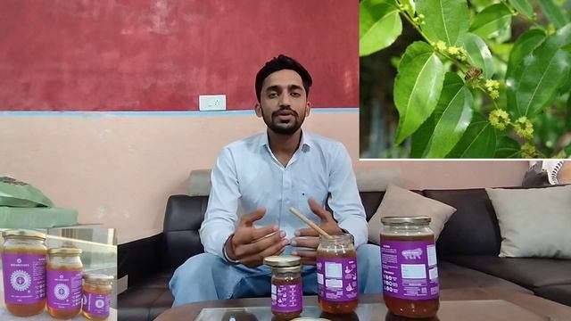what is jujube honey? / ber honey kya hota hai/ ber honey benifits/ Beni brothers farm - 9783934031 смотреть онлайн