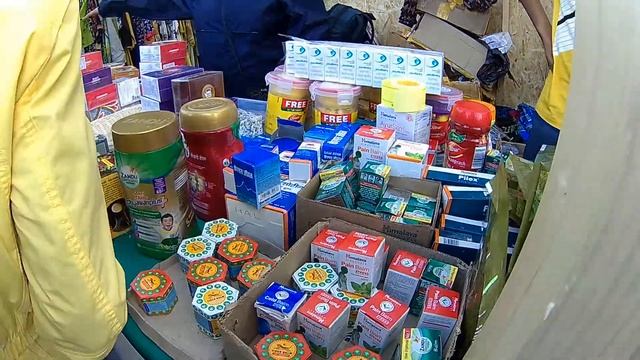 День Индии в Сокольниках 11.08.2019 (4) смотреть онлайн