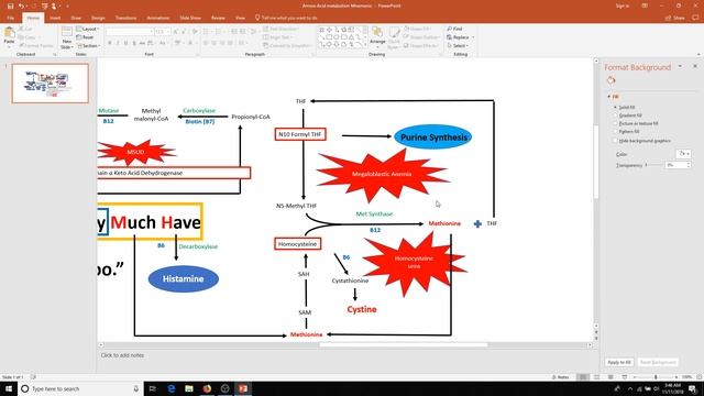 Amino Acid Metabolism смотреть онлайн