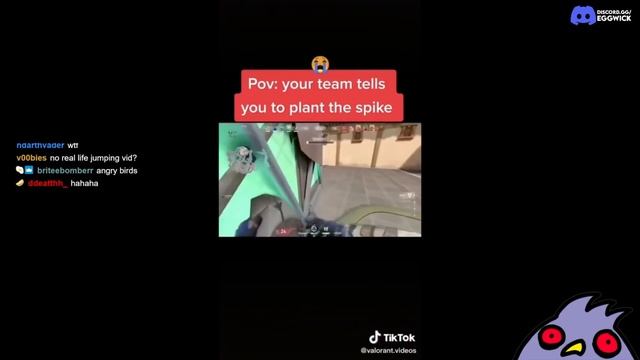 This Cat Plays VALORANT Better Than YOU... смотреть онлайн