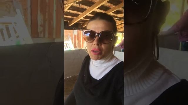 МЕГИ ДЕРМ - ИЗГРАЖДАНЕ ПРИЮТ ЗА БЕЗДОМНИ ЖИВОТНИ смотреть онлайн