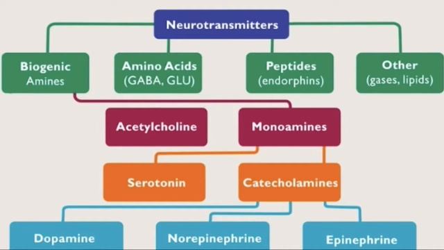 Psyc 5330 Ch.4 (NT - Videos) смотреть онлайн