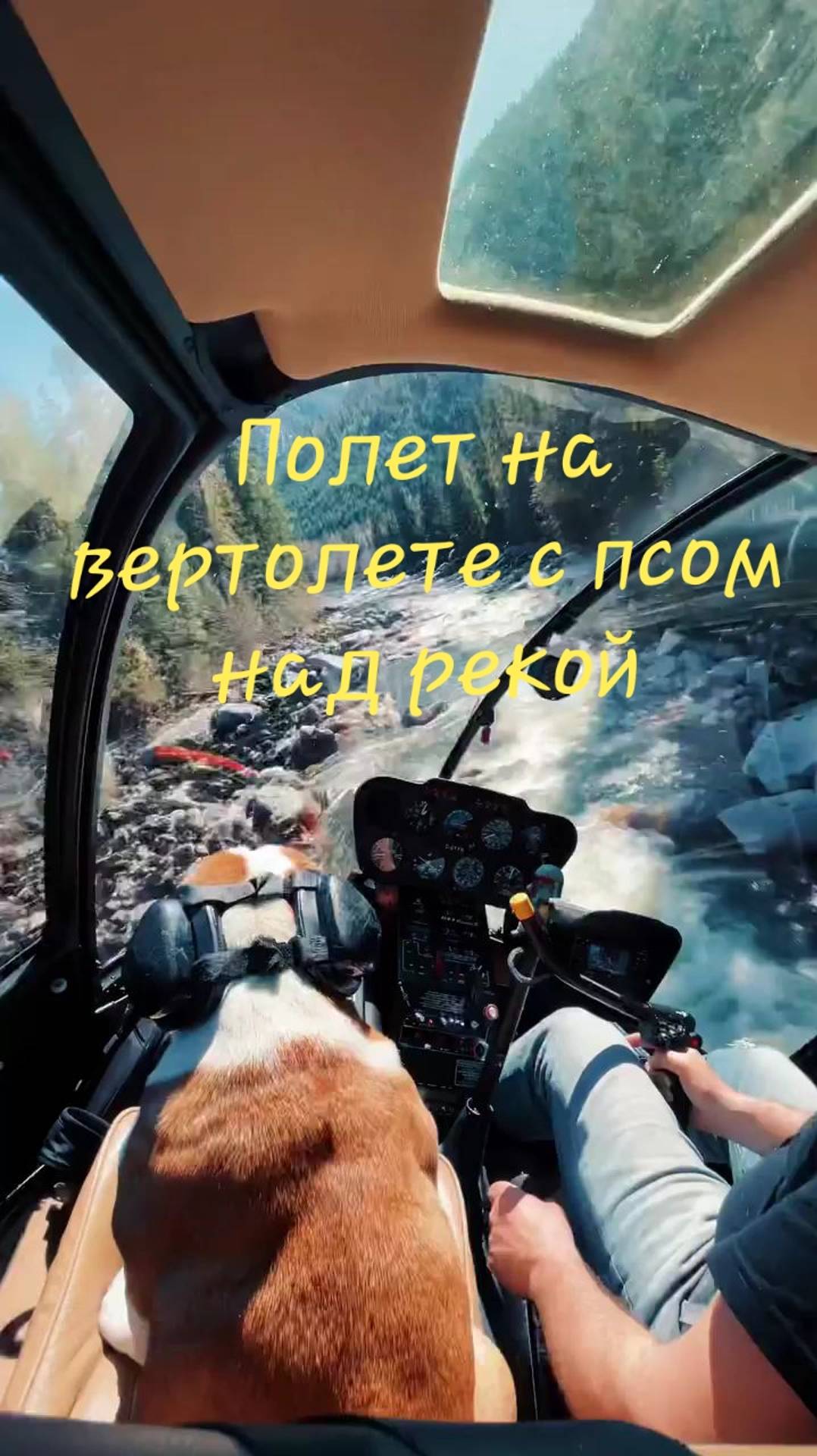 Полет на вертолете с псом над рекой смотреть онлайн