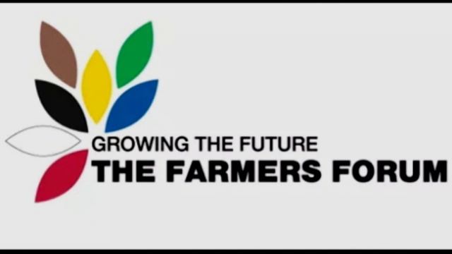 ABS EVENING NEWS (LOCAL SEGMENT) 16.4.2020 смотреть онлайн