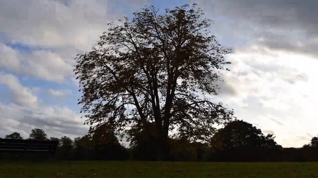 Timelapse in Northcroft Park, Newbury смотреть онлайн