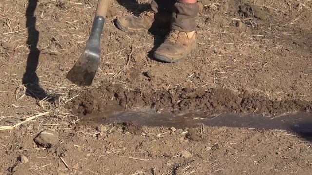 Lockyer Valley Natural Sequence Farming Field Day смотреть онлайн