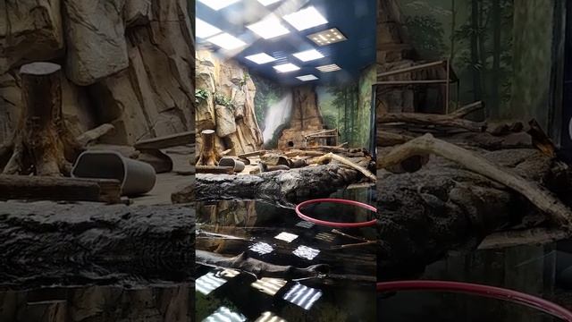 Москваквариум смотреть онлайн