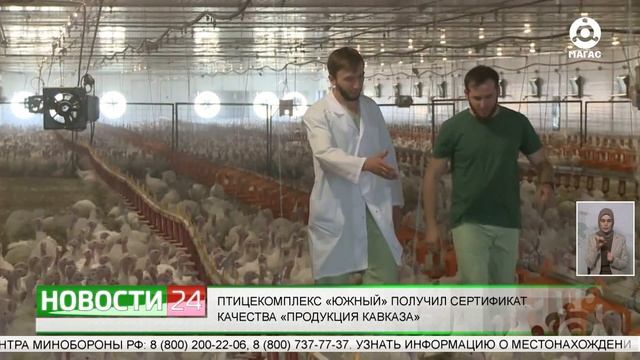 Птицекомплекс "Южный" получил сертификат качества "Продукция Кавказа" смотреть онлайн