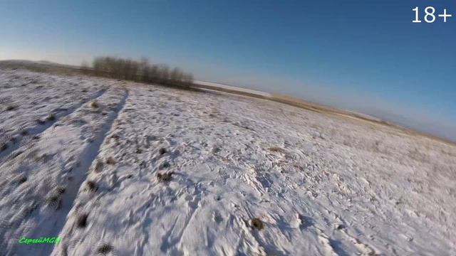 Охота на зайца-первые трофеи сезона 2024.