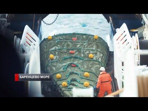 Союз рыбопромышленников Севера подвел итоги уходящего года смотреть онлайн