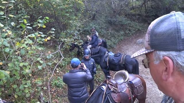 Giga katamadze(9) смотреть онлайн