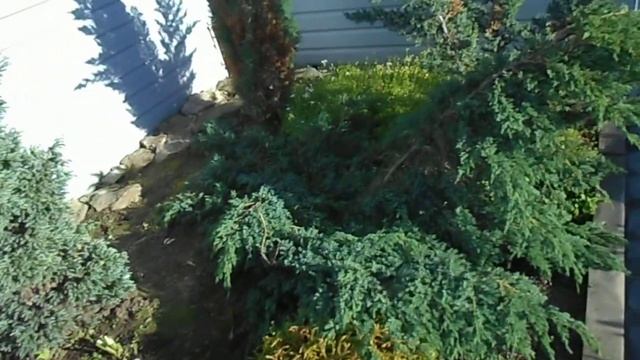 DSCN0388 смотреть онлайн
