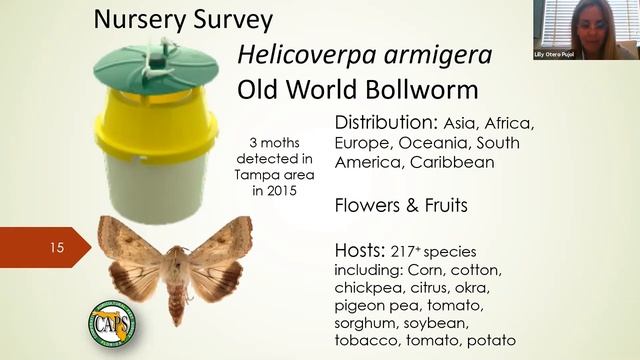 Speaker Series: Lilly Otero Pujol, FDACS Pest Survey Specialist, May 2021 смотреть онлайн