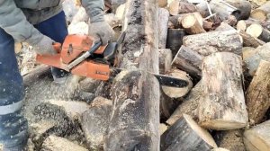 Хускварна 365 на распиловке Дров.