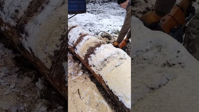 Бензопила Holzfforma G366 впечатляет своей работой смотреть онлайн