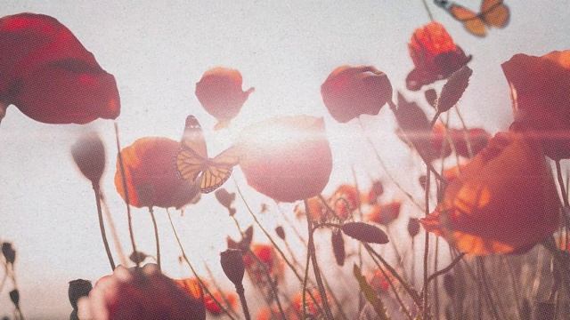 Unlike Pluto & Why Mona - Rewind [royalty free] смотреть онлайн
