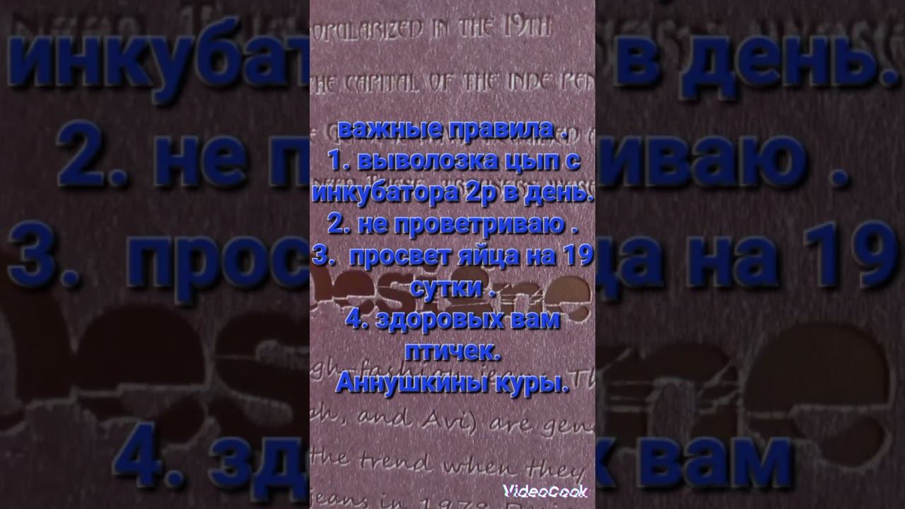 инкубация цыплят . смотреть онлайн